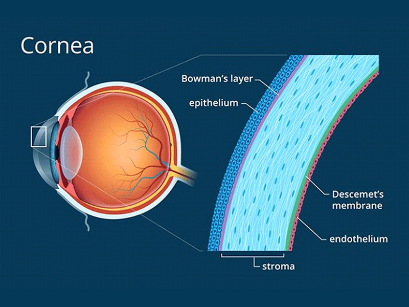 cornea-and-refractive-surgery-in-kollam